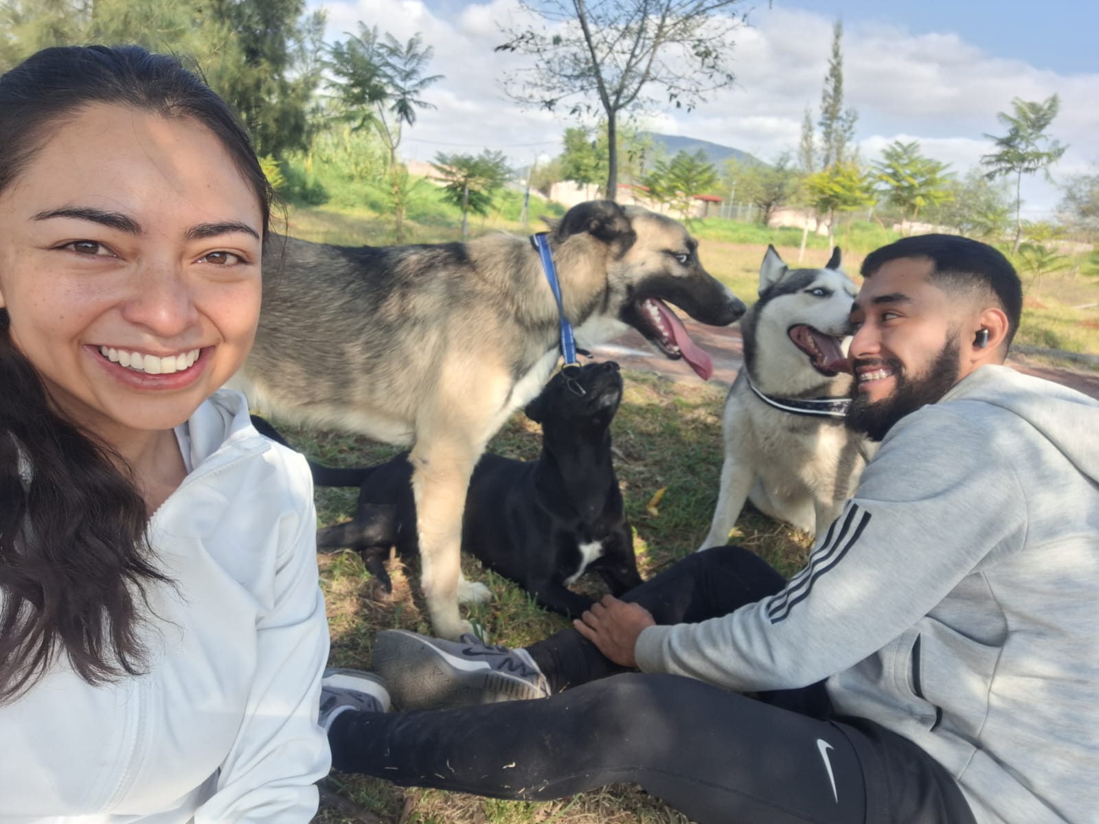 Tarde con nuestros perritos